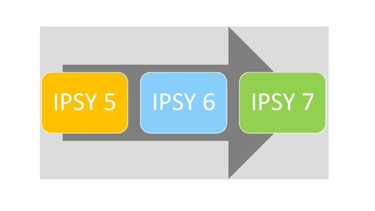 Aufbau IPSY-Programm